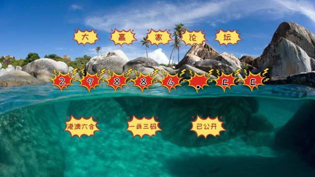 澳门天天彩正版免费挂牌查询,迅捷解答方案设计_iShop80.458-7