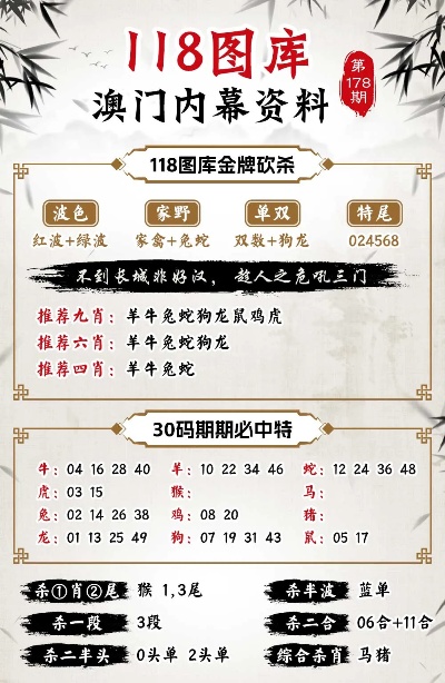 新澳门三中三码精准100%,系统化说明解析_定制版48.855-9