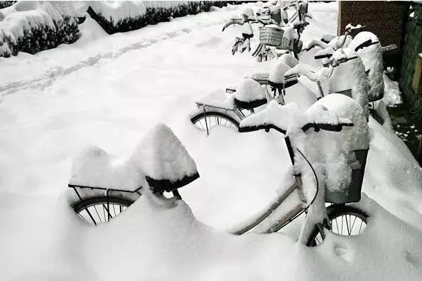 河北疫情停课期间,开启自然之旅的绝佳时机