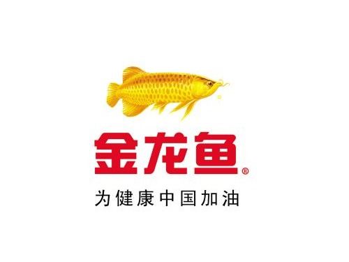 金龙鱼股票最新信息概览，最新动态与市场走势分析