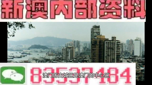 新澳门中特期期精准,深入挖掘解释说明_跨界版9.197
