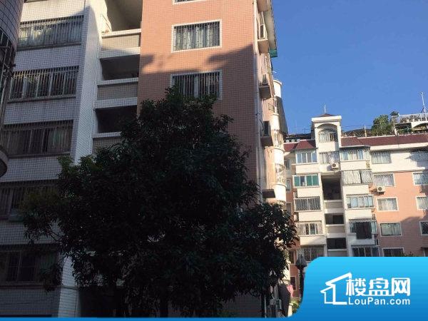 康城二手房最新房价指南，最新房价信息及购房指南