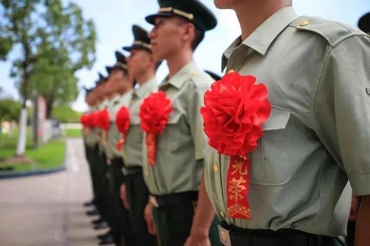 最新退伍军人服役年限计算方法揭秘与巷弄深处的特色小店探秘