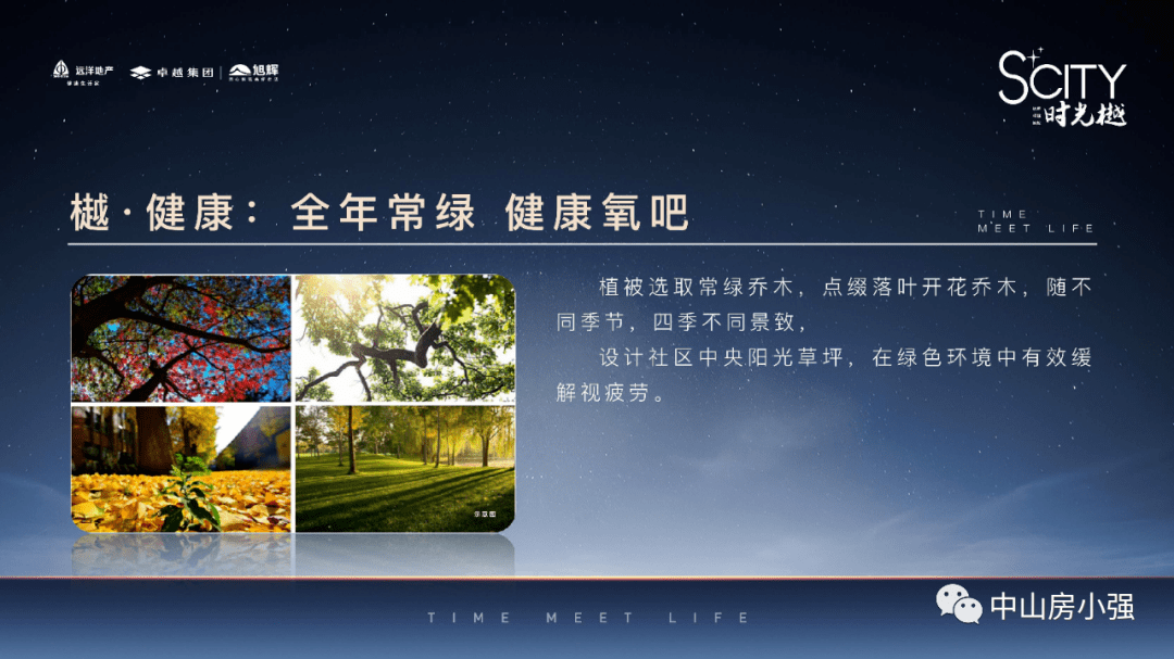 VN最新版装备指南深度解析与观点阐述