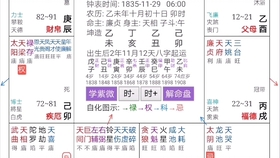 揭秘明星命运之星，紫微斗数指引星途璀璨之道