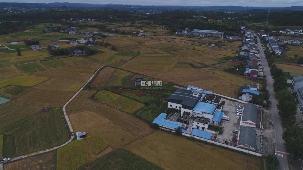 游仙区小枧镇未来蓝图规划揭晓，打造美好未来新篇章