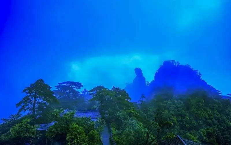 元尊最新章节，自然美景中的内心平和之旅