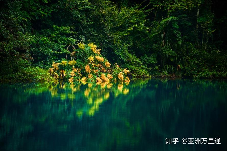 最新围攻，与自然美景的亲密旅行，探寻内心平和之地
