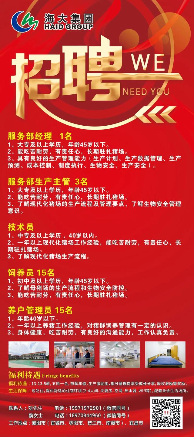青海最新招聘信息，启程探索自然美景，寻找内心的宁静与平和之旅
