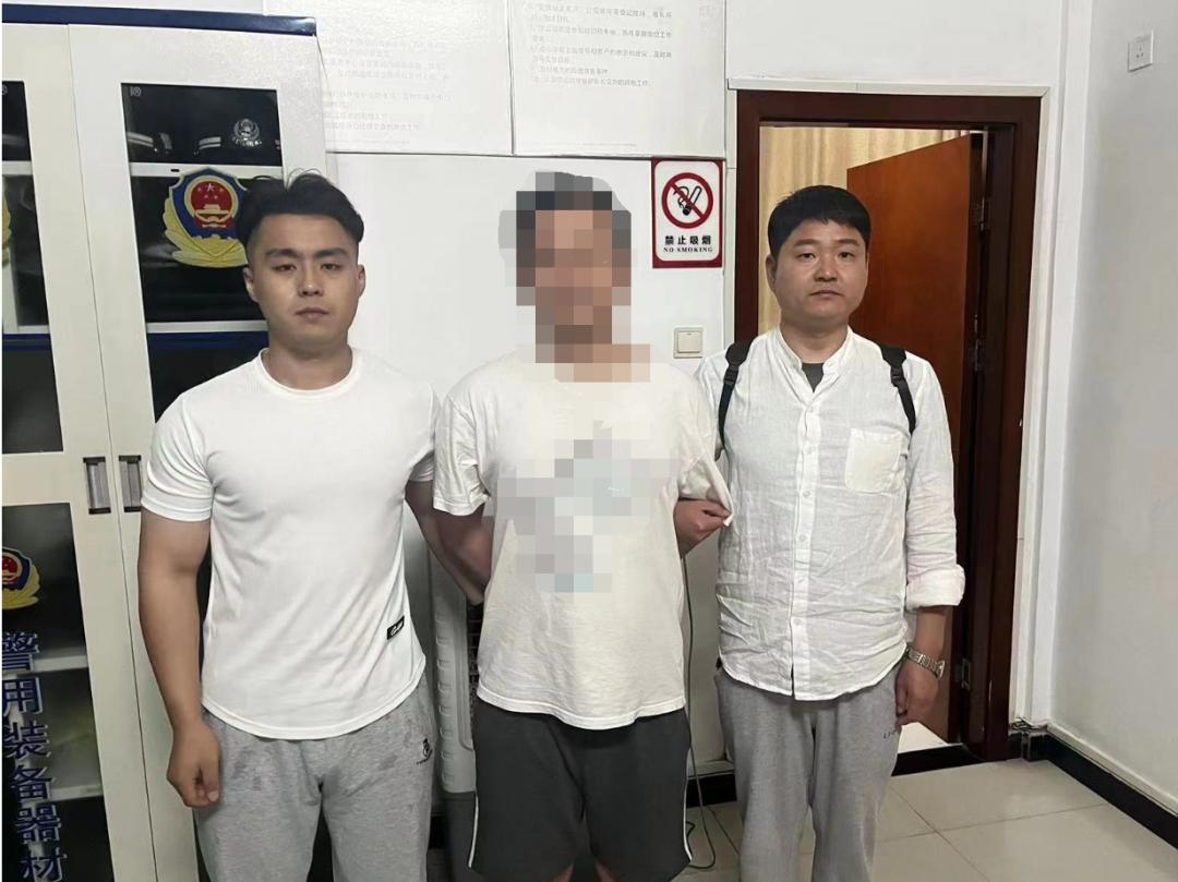 砀山最新招聘信息汇总，观点阐述与分析