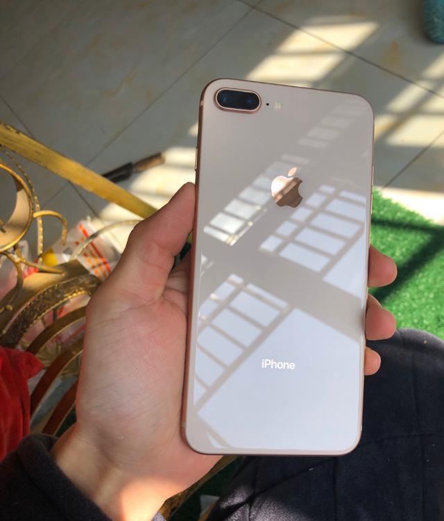 8p最新系统，智慧之旅的启程，拥抱变化，自信闪耀的时代