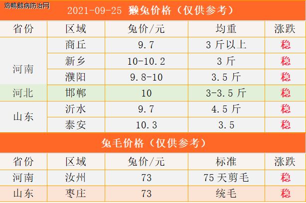 最新兔毛价格揭秘，小巷深处的宝藏小店