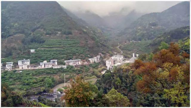 最新电影探索与治愈的自然美景之旅