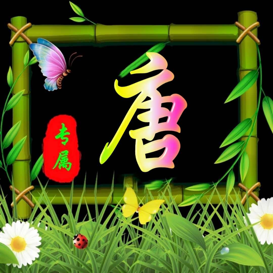 最新微信头像图片精选，时尚与个性的完美融合