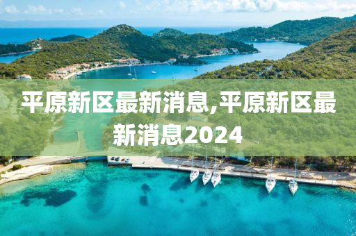 平原新区最新动态更新，最新消息汇集