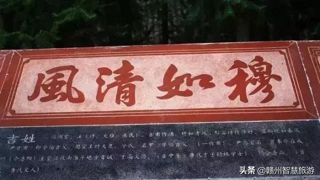中国最新姓氏排名一览，探寻千年文化脉络的姓氏排名