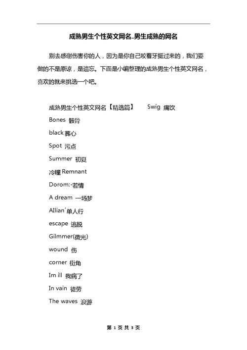 最新英文网名时尚潮流与个人品牌构建秘籍
