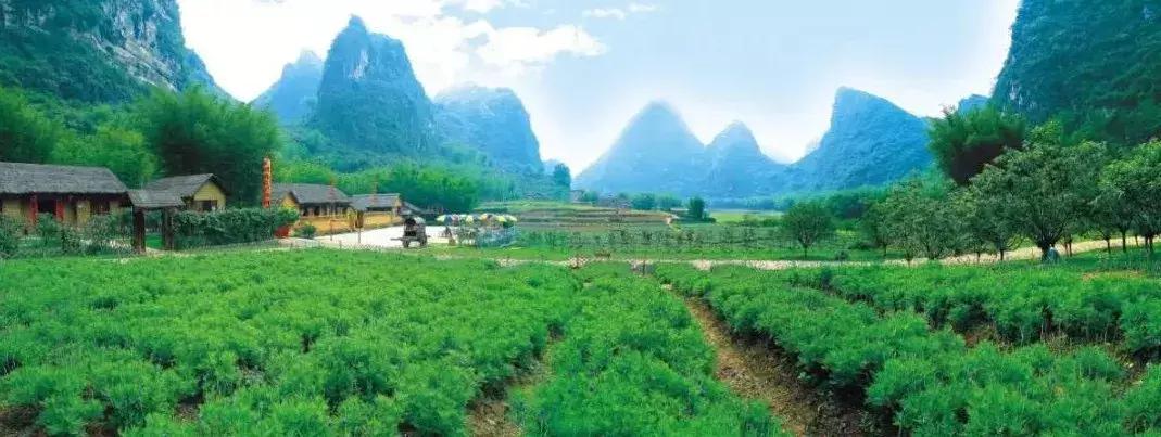 怀集网新闻最新消息，拥抱自然之旅，重拾内心宁静的旅程